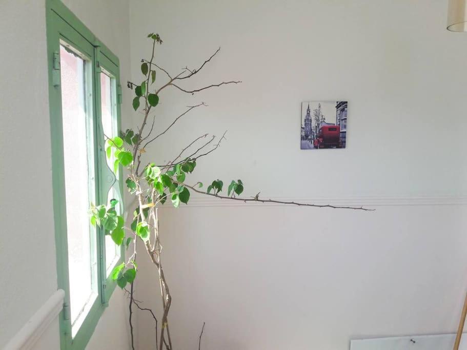 Spacious Apartment In Old Town - Private Parking Thessalonique Extérieur photo
